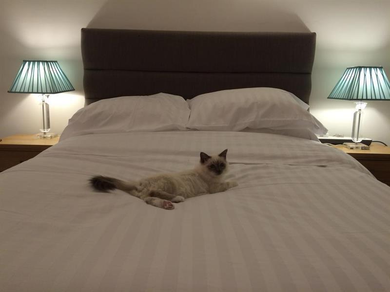 Oyo Oakcroft Guest House Manchester Airport Ringway Экстерьер фото